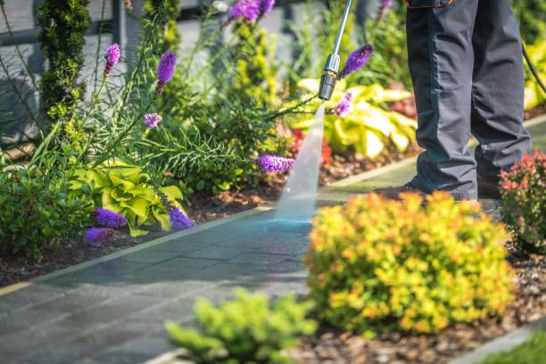 Best House Exterior Washing  in River Edge, NJ